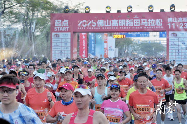 2025佛山高明稻田马拉松于11月23日7时开跑。南方+ 廖明璨 摄