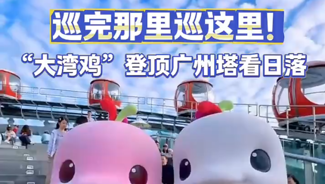 巡完那里巡这里！“大湾鸡”登顶广州塔看日落｜广州热点