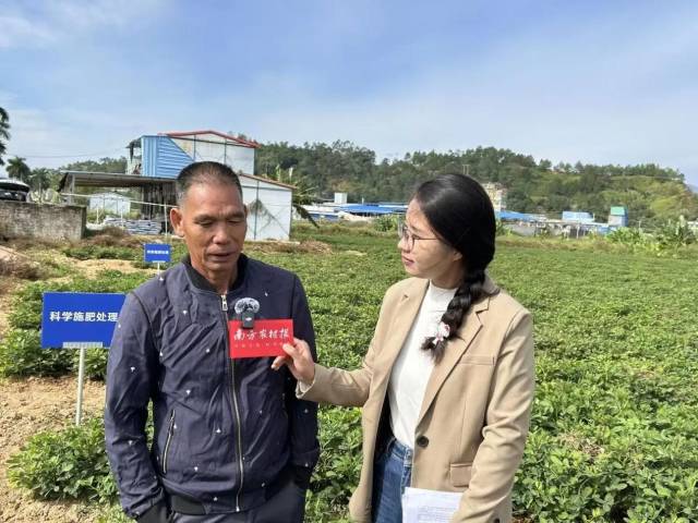 东源县柳城镇种植大户杨老板 东源县柳城镇种植大户杨老板