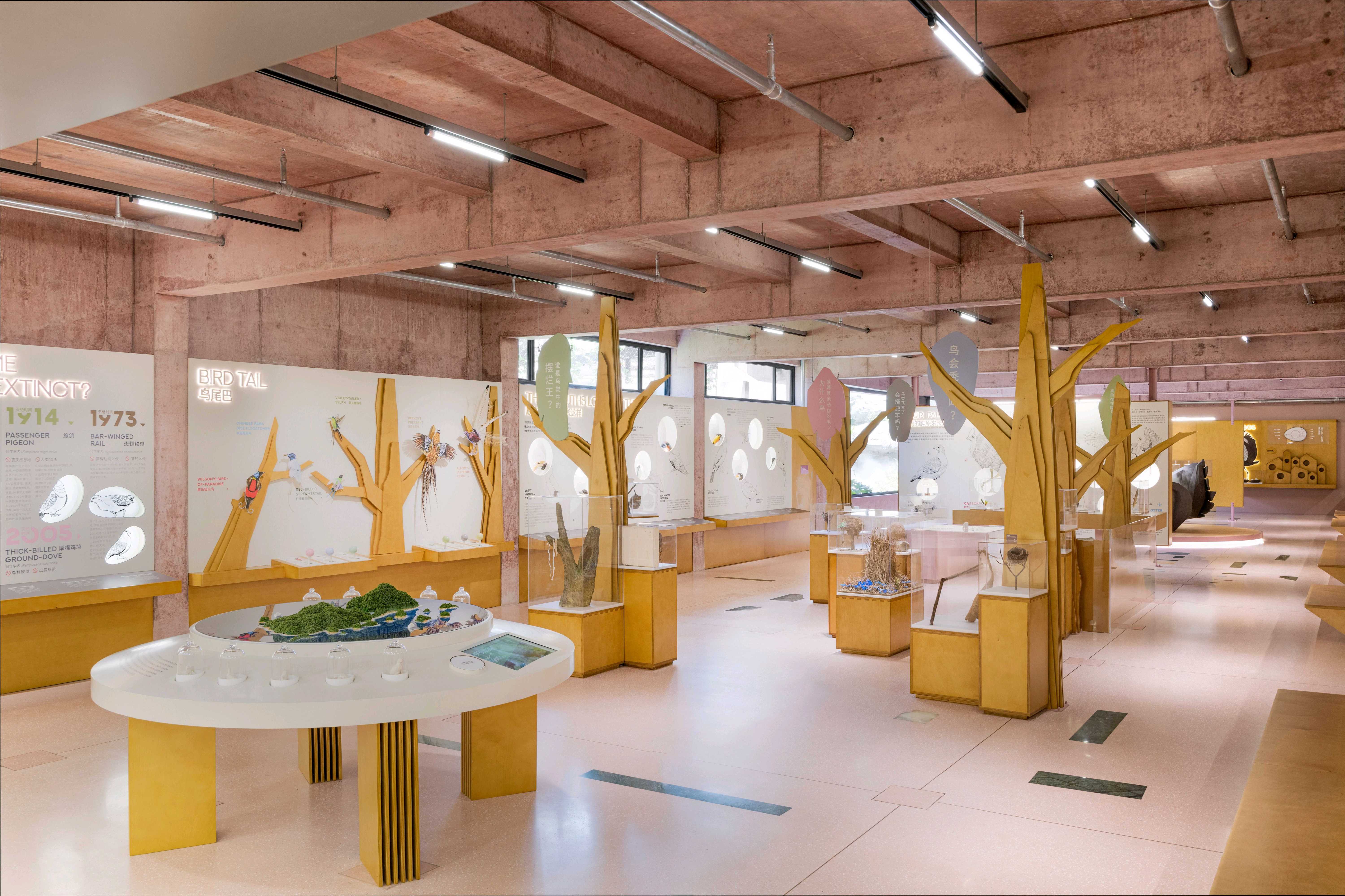 Papago鸟的生命循环科普展厅。 Papago鸟的生命循环科普展厅。