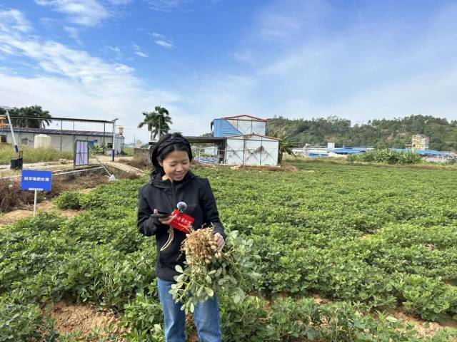 广东省农业科学院作物研究所助理研究员王润风 广东省农业科学院作物研究所助理研究员王润风