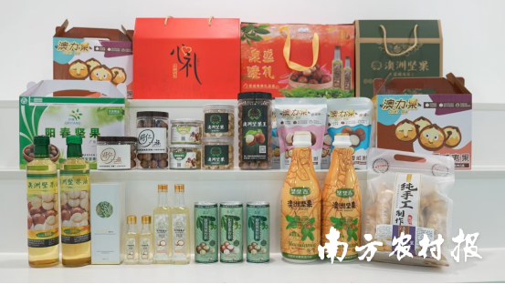 林下特色伴手礼，为八方来客送上属于广东山林的鲜美滋味