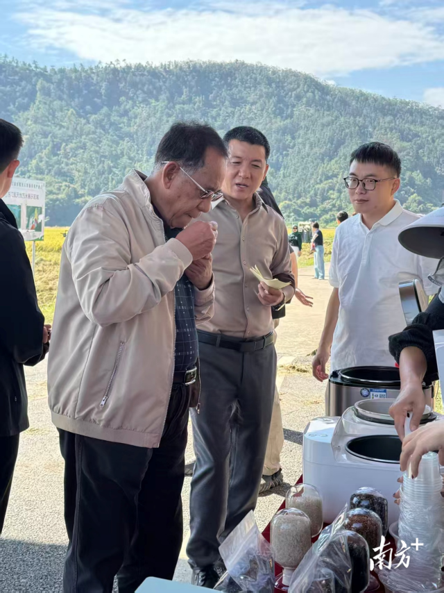国外友人在品鉴优质稻华航香银针米饭的软滑与清香。