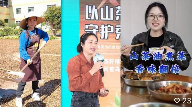 投身油茶产业的骆姓姊妹花。从左到右依次是骆碧娜、骆碧群、骆素娥。