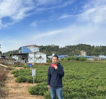广东省农业科学院植物保护研究所副研究员 孙大元