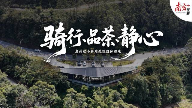 骑行、品茶、静心！惠州这个驿站是理想休憩地｜寻迹218最美公路㉝
