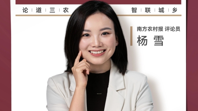 兴农评丨无人机坠箭，“护农利器”还是“恐怖凶器”？