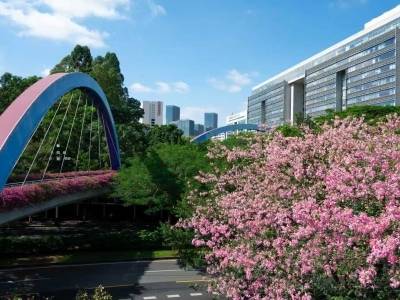 藏不住了！“黄埔云道”上线，3条环线解锁吸氧自由→