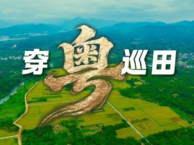 广东耕地保护工作纪录片 | 穿粤巡田