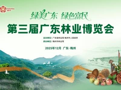 绿色总动员！全省林业锁定梅州