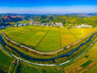 梅州兴宁以“农林共生、三产联动”发展模式，让绿水青山变成金山银山