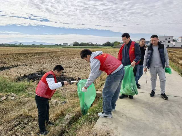 冬种吹响冲锋号！惠城区力争冬种面积12.16万亩