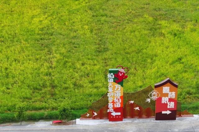 明城镇万亩稻田路标。曾锦峰 摄