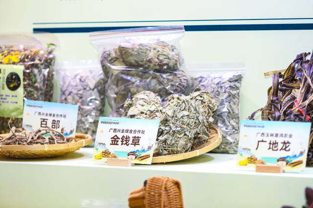 广西南药产品。 广西南药产品。
