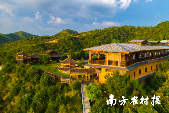 如今，去森林已经成为人们生活方式，图为南寿峰森林康养基地