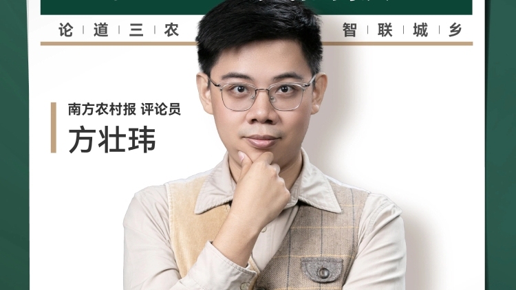 兴农评丨“偷”甘蔗有道，防“一哄而散”
