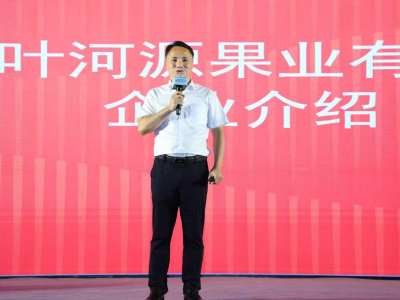 让兵团好物畅销湾区！叶河源连续三年亮相“广州之夜”