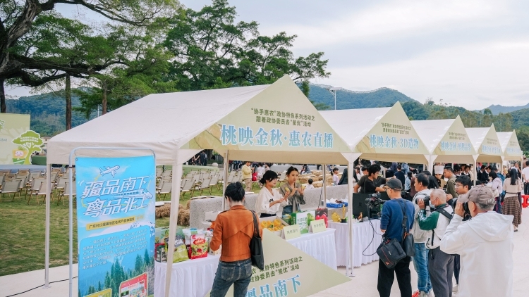 新疆特色好物亮相麻榨镇杨桃文化音乐节