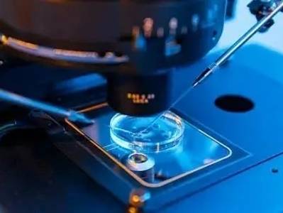 2025大湾区科学论坛12月6日—8日在粤港澳同步举办