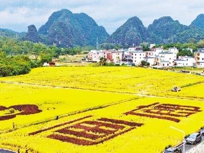 打好“收官战” 冲刺全年好 | 速览《南方日报·阳春视窗》74期