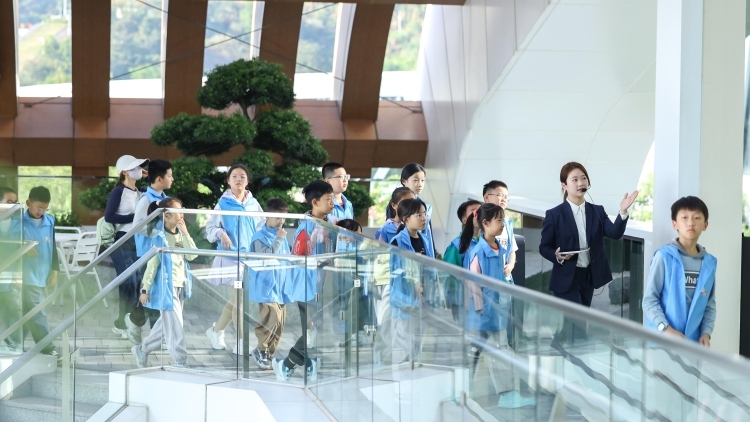 对话“无废深圳”，探寻“绿美宝安”｜视频