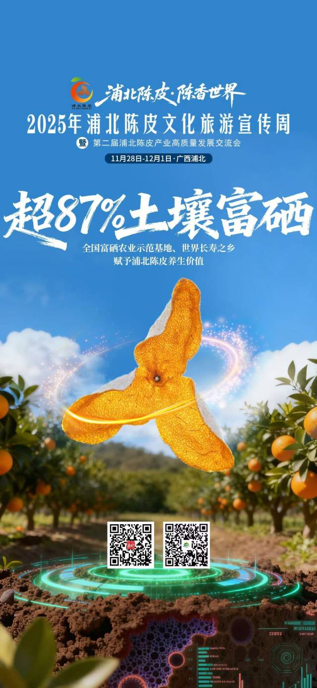 视频｜浦北陈皮，陈香世界
