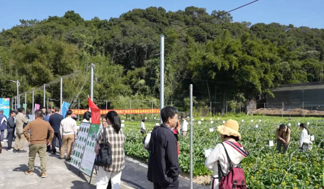 活动现场 活动现场