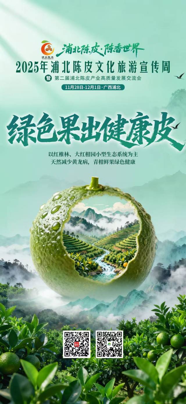 视频｜浦北陈皮，陈香世界