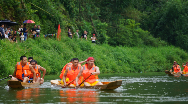 ▲在带下村龙舟（三人禾艇）赛现场，12支禾艇队伍展开激烈角逐
