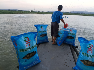 杰大饲料：让鳜鱼不再“吃同事”了｜隐形冠军 新质先锋⑰