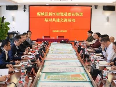 新江、莲花双向奔赴，全域结对共建激活区域协同新引擎