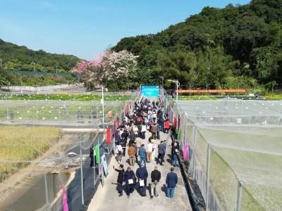 品种×技术汇集! 走近广东种博会（广州分会场）