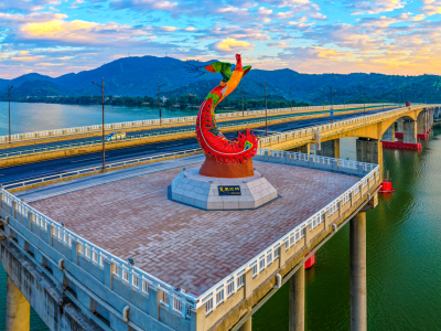 根脉聚潮心 盛会启新程｜根脉亲 家国兴