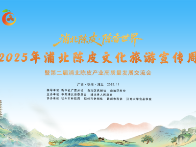 2025年“健康长寿·食在浦北”美食大赛邀您共赴舌尖盛宴
