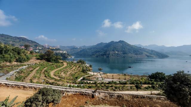 “美荔传说”荔枝种植基地正在加快基础设施建设。