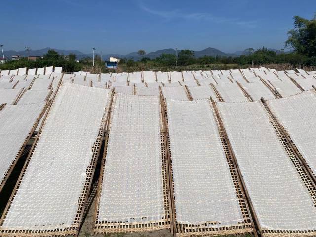 在怀集县岗坪镇地灵村的空地上，架起了一个个竹栅，晾晒切粉粉皮。肇庆市融媒体中心记者 潘粤华 摄