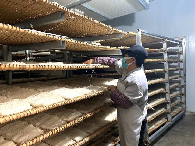 在怀集黎氏食品有限公司的烘干房里，工人在查看岗坪切粉的烘干情况。