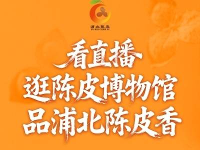 跟着主播逛浦北陈皮博物馆