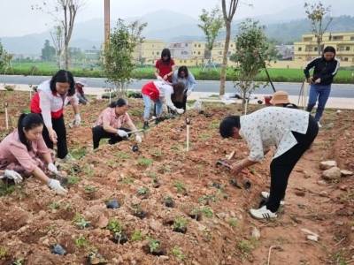 “兑”出新风尚！肇庆广宁横山镇“文明积分超市”赋能乡村振兴