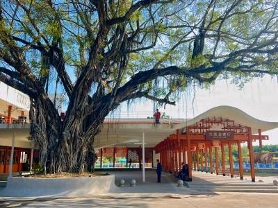 做好新时代“侨”的文章，广东这样干