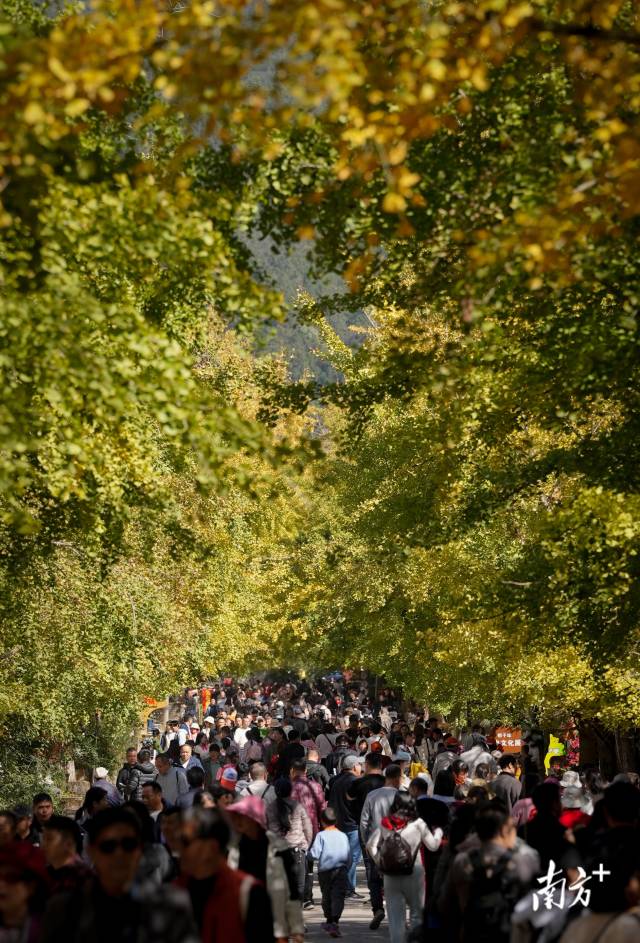 南方+ 董天健 拍摄