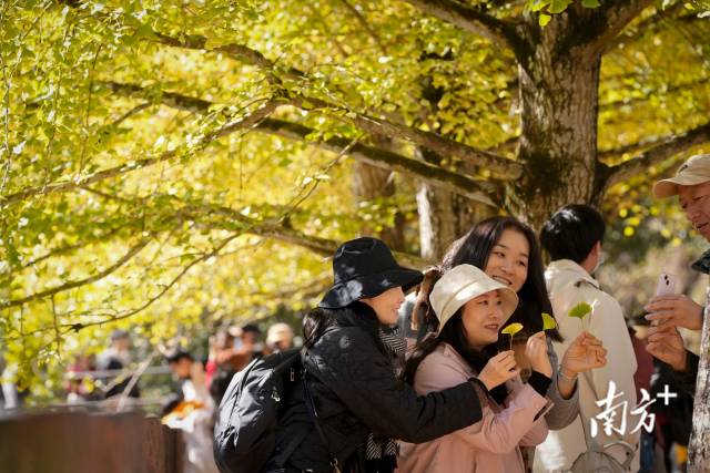 南方+ 董天健 拍摄