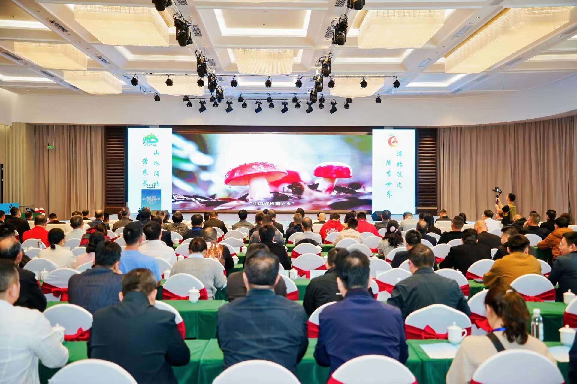 2025年浦北县陈皮文化旅游宣传周招商引资推介会现场。浦北