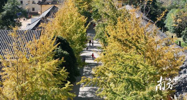 南方+ 董天健 拍摄