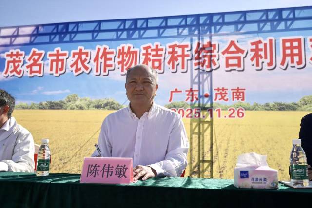 茂南区委常委陈伟敏