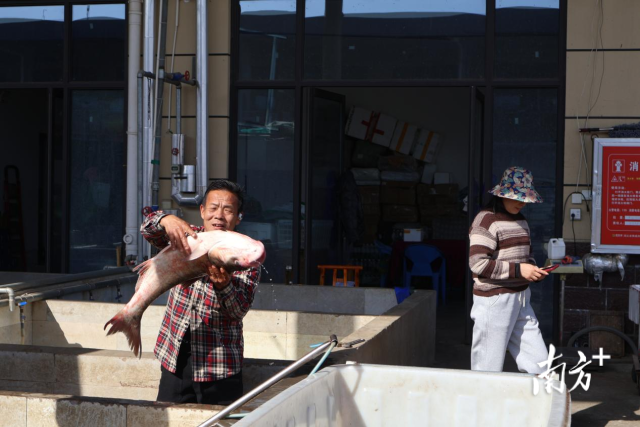 市场上的水产品。?? 市场上的水产品。??