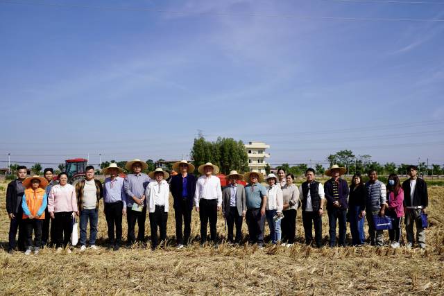 南方农村报 任亚航 拍摄