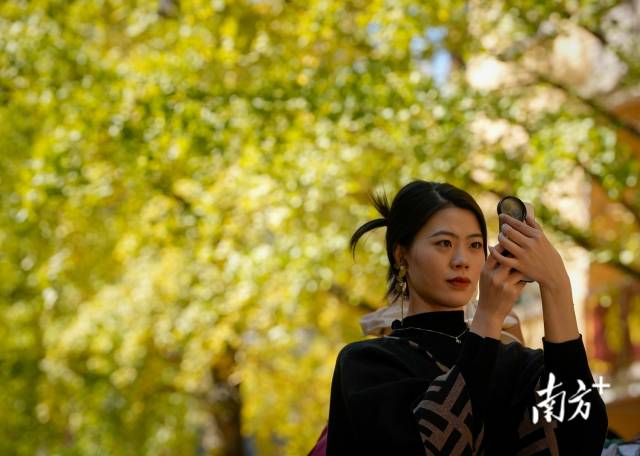 南方+ 董天健 拍摄