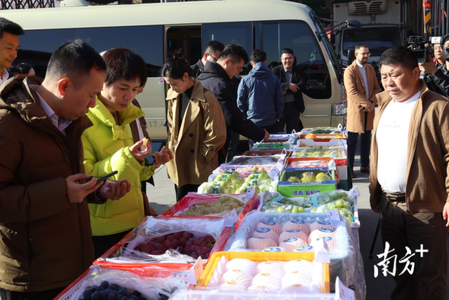 企业代表深入市场了解农产品。? 企业代表深入市场了解农产品。?