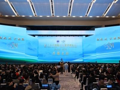 海内外潮人齐聚“心灵原乡”寻根脉叙乡情，共赴“归潮”之约